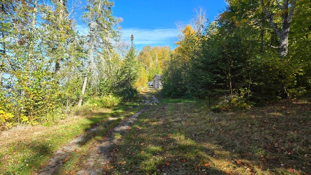 4251 Sugar Pt, Orr, MN 55771 - photo 18