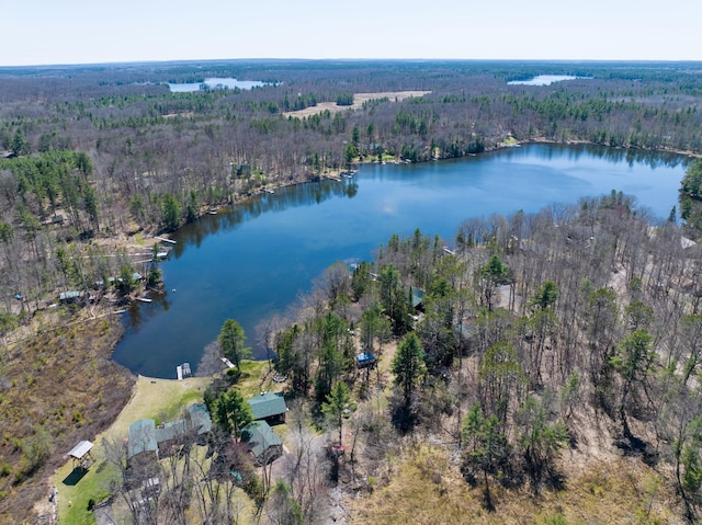 10151 Sandy Beach Rd, Round Lake Twp, WI 54843 - aerial overview of property's location with a heavily wooded area and a nearby body of water