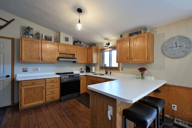 10151 Sandy Beach Rd, Round Lake Twp, WI 54843 - kitchen featuring stainless steel range, under cabinet range hood, a sink, a peninsula, and light countertops