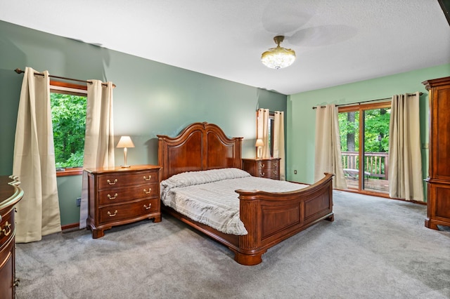 2207 Barron Polk St, Comstock, WI 54826 - bedroom featuring access to outside and carpet floors