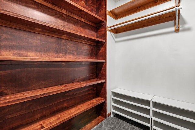 2207 Barron Polk St, Comstock, WI 54826 - spacious closet with carpet flooring