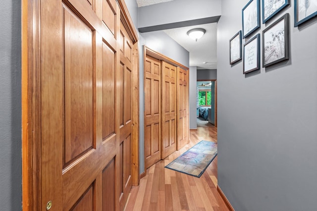 2207 Barron Polk St, Comstock, WI 54826 - hall featuring light wood finished floors