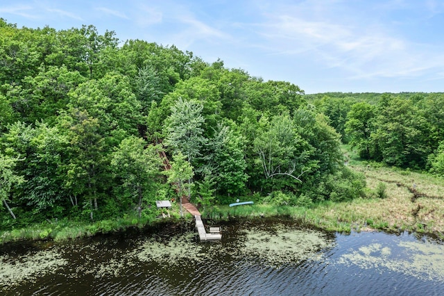 2207 Barron Polk St, Comstock, WI 54826 - water view with a heavily wooded area