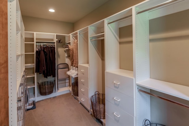 31839 Cree Bay Cir, Pelican Twp, MN 56472 - walk in closet featuring light colored carpet