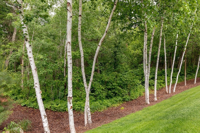 31839 Cree Bay Cir, Pelican Twp, MN 56472 - view of yard