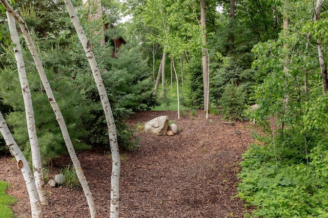 31839 Cree Bay Cir, Pelican Twp, MN 56472 - view of yard