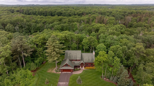 31839 Cree Bay Cir, Pelican Twp, MN 56472 - view of subject property featuring a forest