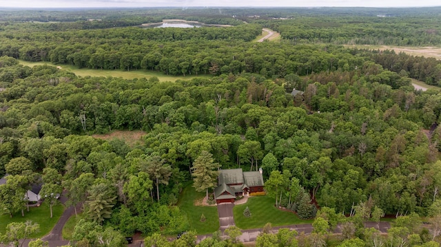 31839 Cree Bay Cir, Pelican Twp, MN 56472 - aerial view of a forest