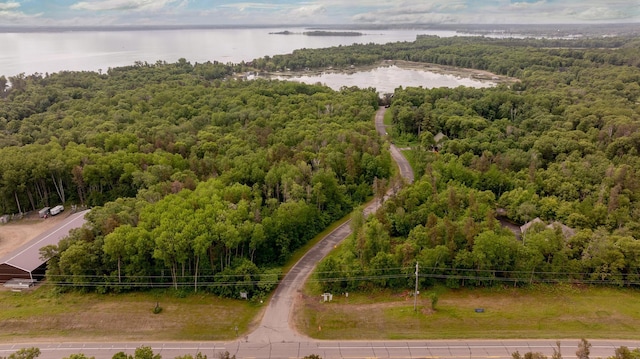 31839 Cree Bay Cir, Pelican Twp, MN 56472 - drone / aerial view of a forest and a large body of water