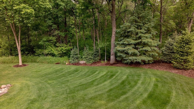 31839 Cree Bay Cir, Pelican Twp, MN 56472 - view of grassy yard
