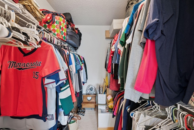 14617 Evergreen Trl Unit 75, Apple Valley, MN 55124 - spacious closet featuring carpet