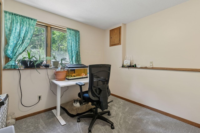 3228 Spruce Trl SW, Prior Lake, MN 55372 - carpeted home office with baseboards