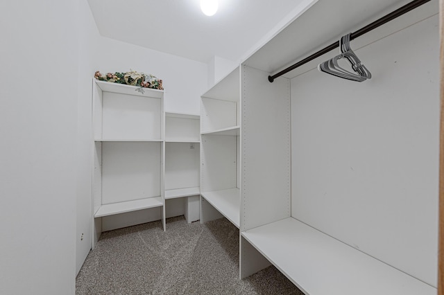 6031 232nd St W, Faribault, MN 55021 - spacious closet with carpet flooring