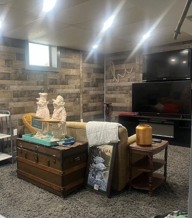 20906 624th Ave, Litchfield, MN 55355 - basement featuring wood walls and carpet flooring