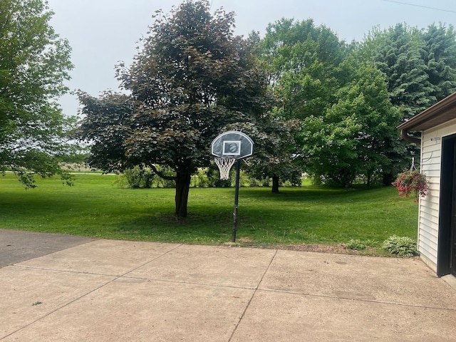 20906 624th Ave, Litchfield, MN 55355 - view of green lawn