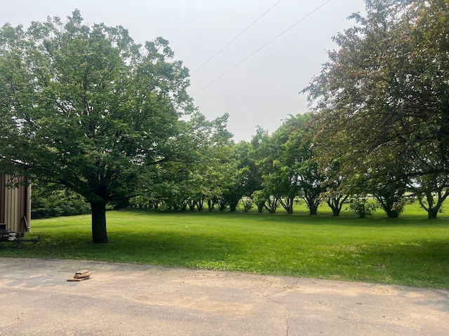 20906 624th Ave, Litchfield, MN 55355 - view of green lawn