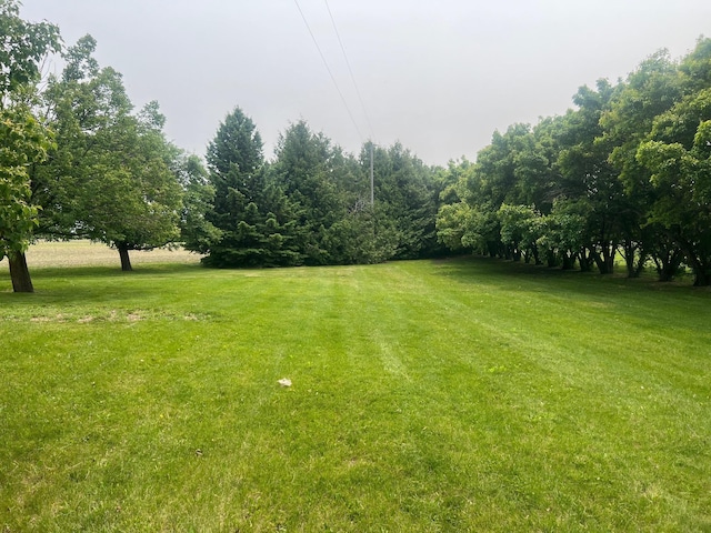 20906 624th Ave, Litchfield, MN 55355 - view of green lawn