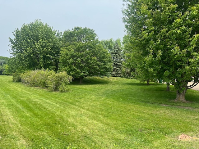 20906 624th Ave, Litchfield, MN 55355 - view of grassy yard