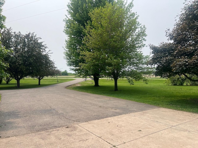 20906 624th Ave, Litchfield, MN 55355 - surrounding community featuring a yard