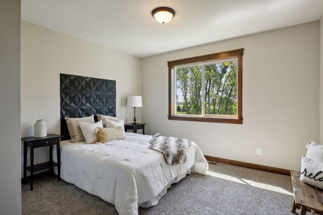 1604 Spruce St, Farmington, MN 55024 - photo 20