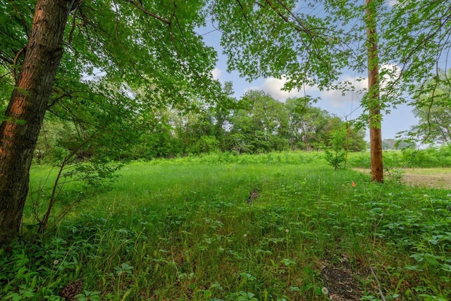 86 Somerville St S, Morgan, MN 56266 - view of nature