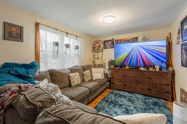 86 Somerville St S, Morgan, MN 56266 - living room featuring wood finished floors and a textured ceiling