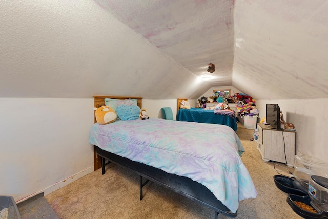 86 Somerville St S, Morgan, MN 56266 - bedroom featuring lofted ceiling, carpet floors, a textured ceiling, and baseboards
