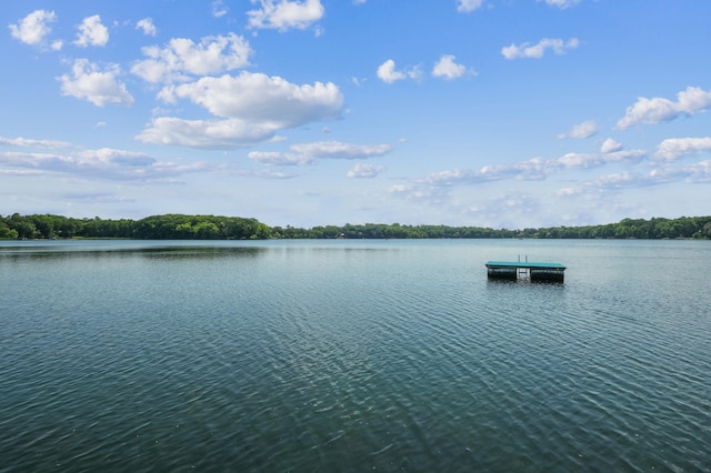 4849 Olson Lake Trl N, Lake Elmo, MN 55042 - photo 21