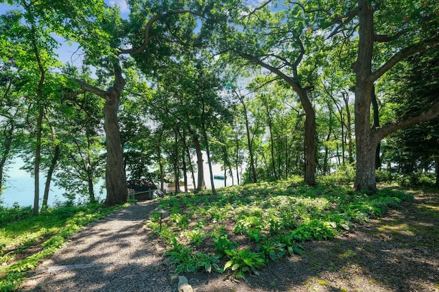 4849 Olson Lake Trl N, Lake Elmo, MN 55042 - photo 25