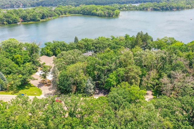 4849 Olson Lake Trl N, Lake Elmo, MN 55042 - photo 28