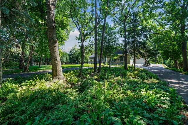 4849 Olson Lake Trl N, Lake Elmo, MN 55042 - photo 47