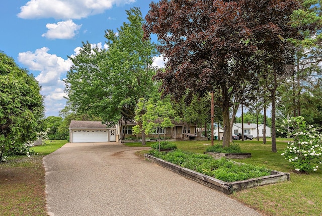 6379 Hodgson Rd, Lino Lakes, MN 55014 - view of property hidden behind natural elements featuring driveway and a front lawn