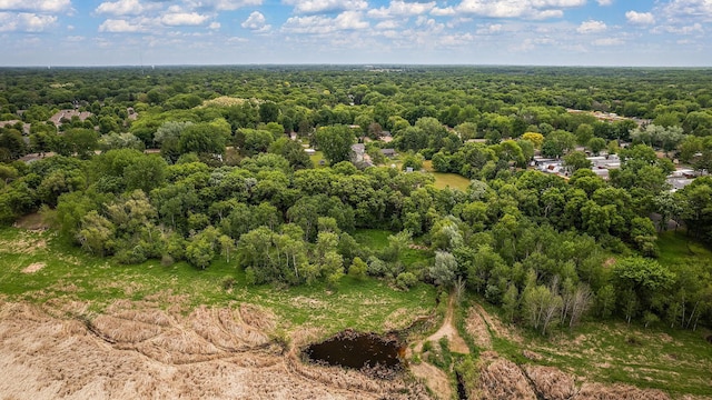 6379 Hodgson Rd, Lino Lakes, MN 55014 - bird's eye view of a forest