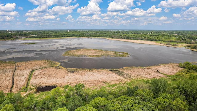 6379 Hodgson Rd, Lino Lakes, MN 55014 - drone / aerial view of a nearby body of water