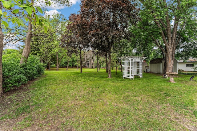 6379 Hodgson Rd, Lino Lakes, MN 55014 - view of green lawn featuring a storage unit and a pergola