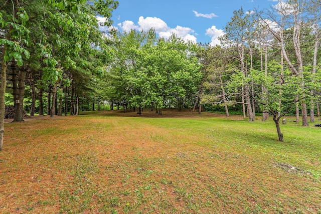 6379 Hodgson Rd, Lino Lakes, MN 55014 - view of grassy yard