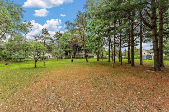 6379 Hodgson Rd, Lino Lakes, MN 55014 - view of green lawn