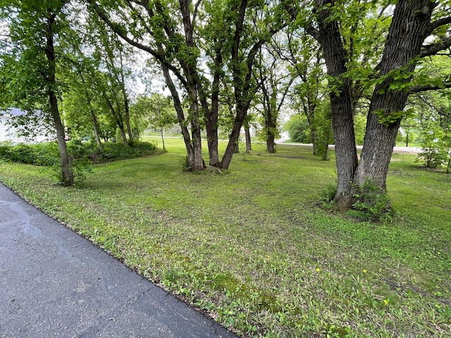 731 Woodland Loop, Fergus Falls, MN 56537 - view of grassy yard