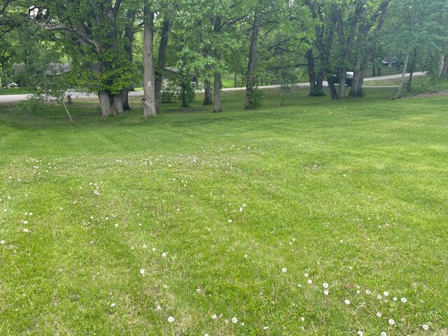 731 Woodland Loop, Fergus Falls, MN 56537 - view of grassy yard