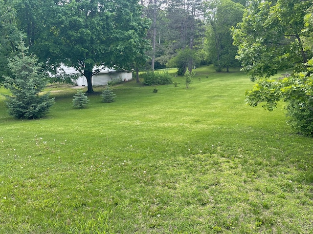 731 Woodland Loop, Fergus Falls, MN 56537 - view of green lawn