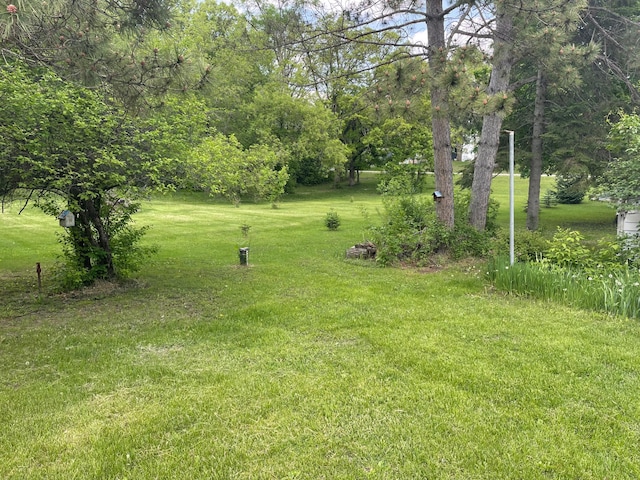 731 Woodland Loop, Fergus Falls, MN 56537 - view of green lawn