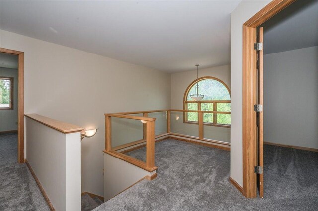 6055 Howard Gnesen Rd, Duluth, MN 55803 - photo 17
