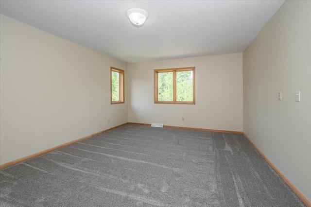 6055 Howard Gnesen Rd, Duluth, MN 55803 - photo 18