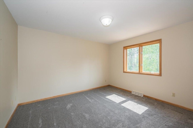6055 Howard Gnesen Rd, Duluth, MN 55803 - photo 22
