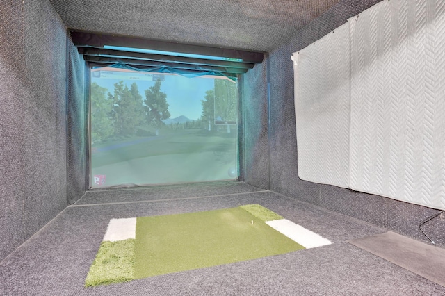 6600 Lyndale Ave S Unit 1005, Richfield, MN 55423 - rec room with carpet flooring and golf simulator