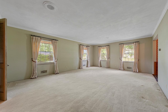 1170 Truman Ave, Owatonna, MN 55060 - carpeted spare room featuring plenty of natural light and crown molding