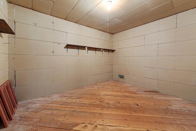 1170 Truman Ave, Owatonna, MN 55060 - basement with hardwood / wood-style flooring