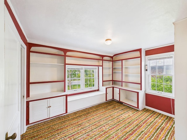 1538 8th Ave SE, Saint Cloud, MN 56304 - carpeted empty room featuring plenty of natural light and baseboards
