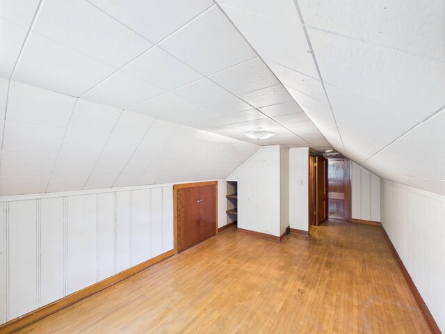 1538 8th Ave SE, Saint Cloud, MN 56304 - additional living space with light wood-style floors and lofted ceiling