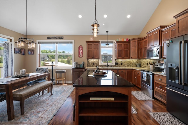 25455 145th St NW, Zimmerman, MN 55398 - kitchen with stainless steel appliances, open shelves, dark wood finished floors, lofted ceiling, and healthy amount of natural light